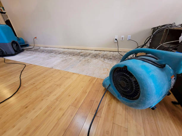 Reliable Crawl Space Water Removal contractor in Smyrna, NC by Hirex Water Damage