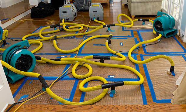Professional Crawl Space Water Removal technician working in Smyrna, NC